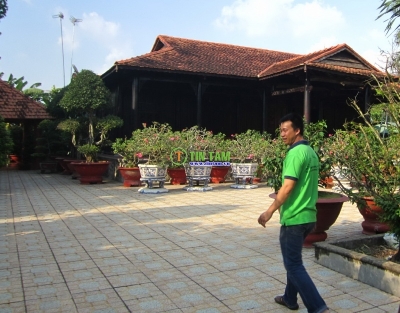 Màn sáo gỗ, man sao go, man tu dong, rem sao go, rem sao go dep, màn sao tu dong, rem sao go tu dong